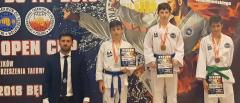 Wieliczanie na Mistrzostwach Polski Taekwon-do ITF w Będzinie