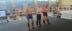 Mistrzostwa Polski w formule Low Kick  w Kickboxingu