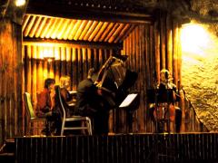 Wielickie Wieczory Muzyczne