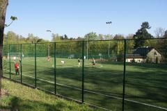 Orlik w Parku Mickiewicza