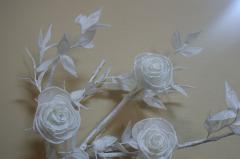 Klub Aktywnego Seniora - zaprasza