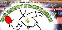Świąteczny Turniej Tenisa Stołowego w Solnym Mieście