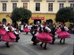 „Sułkowianie” wystąpili podczas XII Dni Polskich w Győr