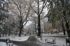 Informator Zimowego Utrzymania Dróg 2012/2013