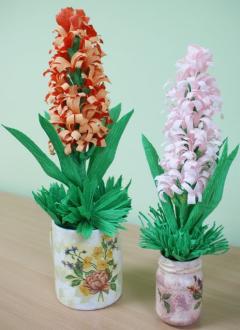 Klub Aktywnego Seniora - Krepinowy hiacynt