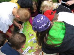 W poszukiwaniu piękna...