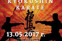 VII Międzynarodowy Turniej o Puchar Solny - KYOKUSHIN KARATE